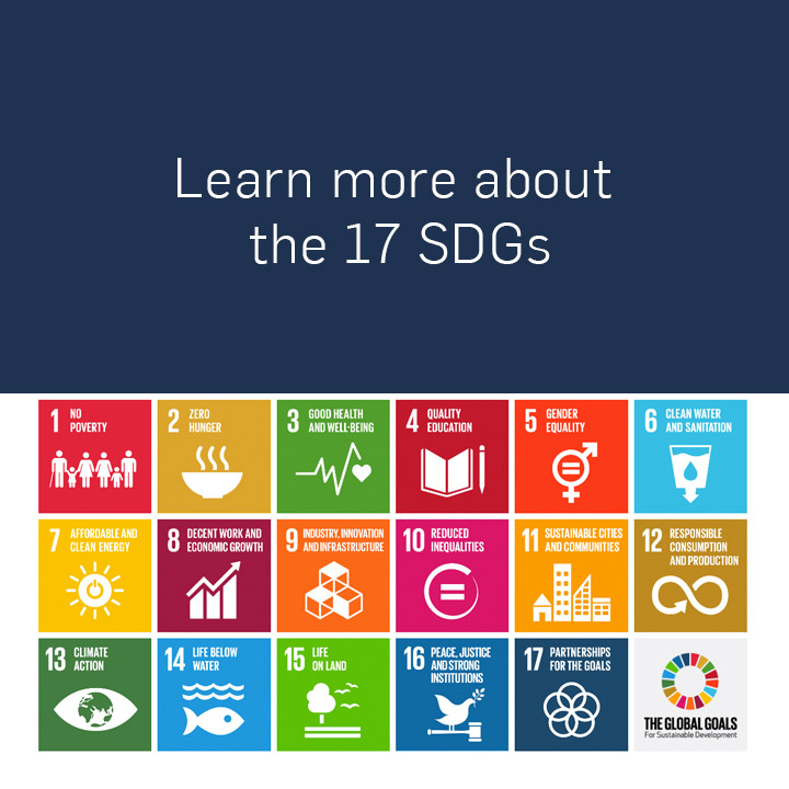 SDGs