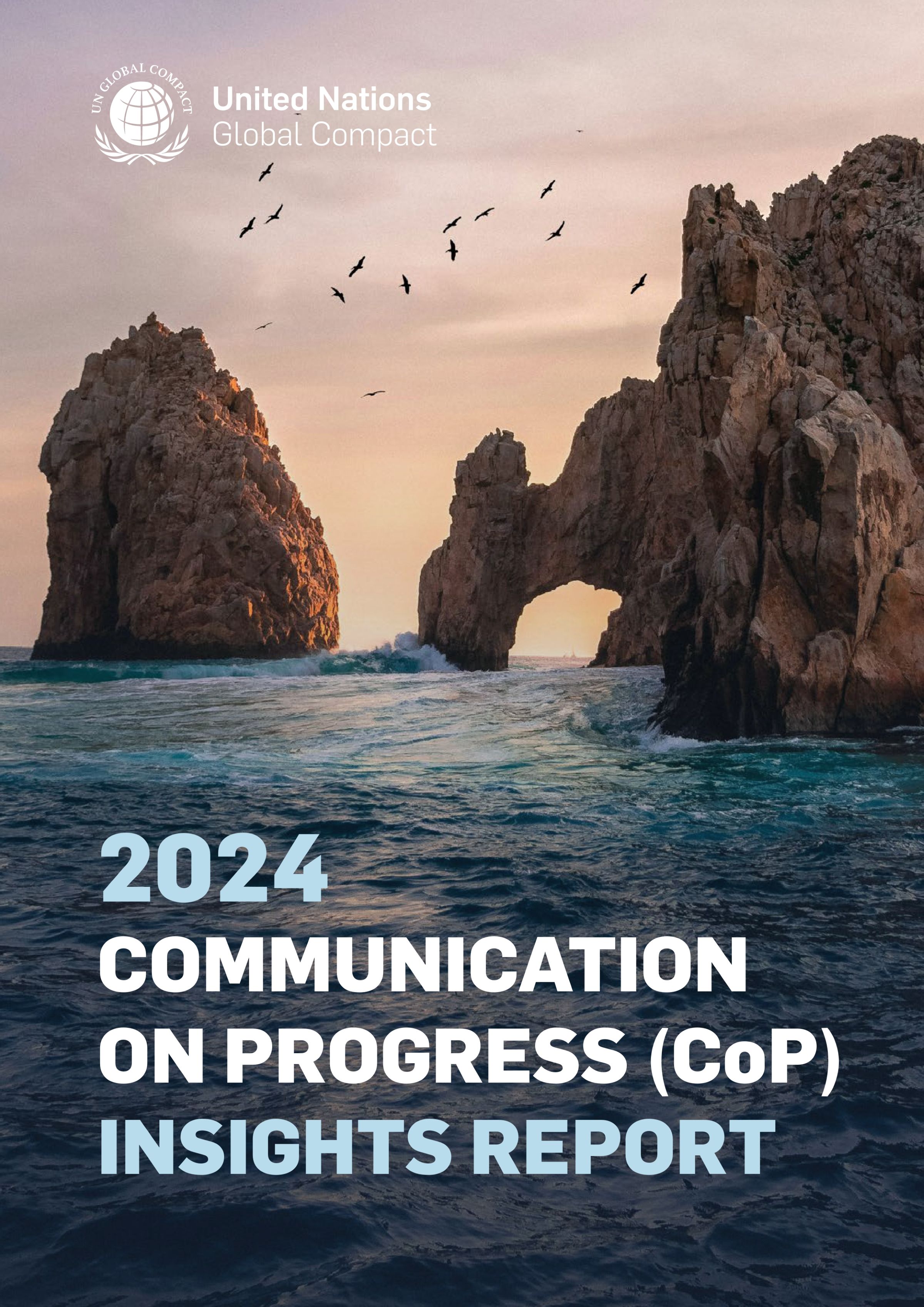 2024 CoP Data Insights Report
