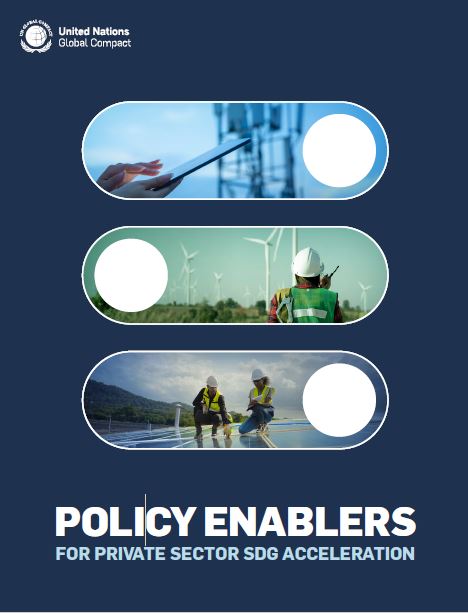 Policy Enablers for Private Sector SDG Acceleration